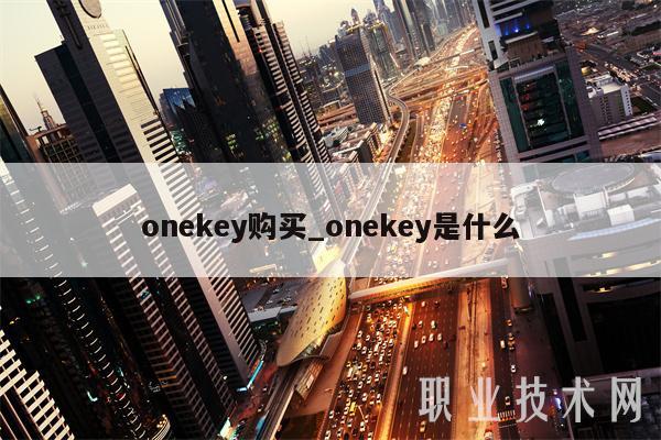 onekey购买_onekey是什么-第1张图片-交易所